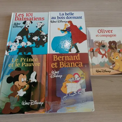 lot de 5 livres Disney ((1)